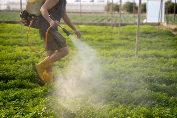 Best Affordable Pest Control Services  in Owatonna, MN
